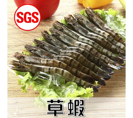 SGS檢驗 草蝦1盒(約10尾)