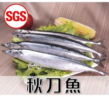 SGS檢驗 秋刀魚1包